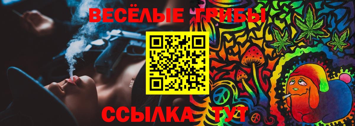 Псилоцибиновые грибы Psilocybine cubensis  Вход с VPN  Туймазы 